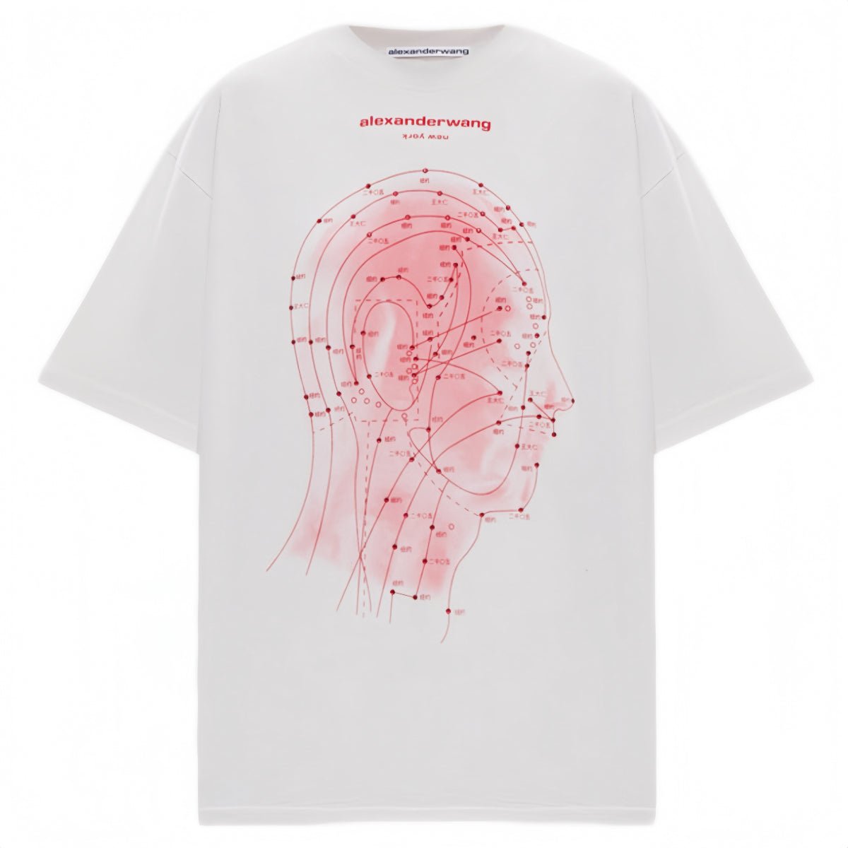 Alexander Wang Eastern Medicine Graphic Short Sleeve TShirt Ash White - AFewVibe